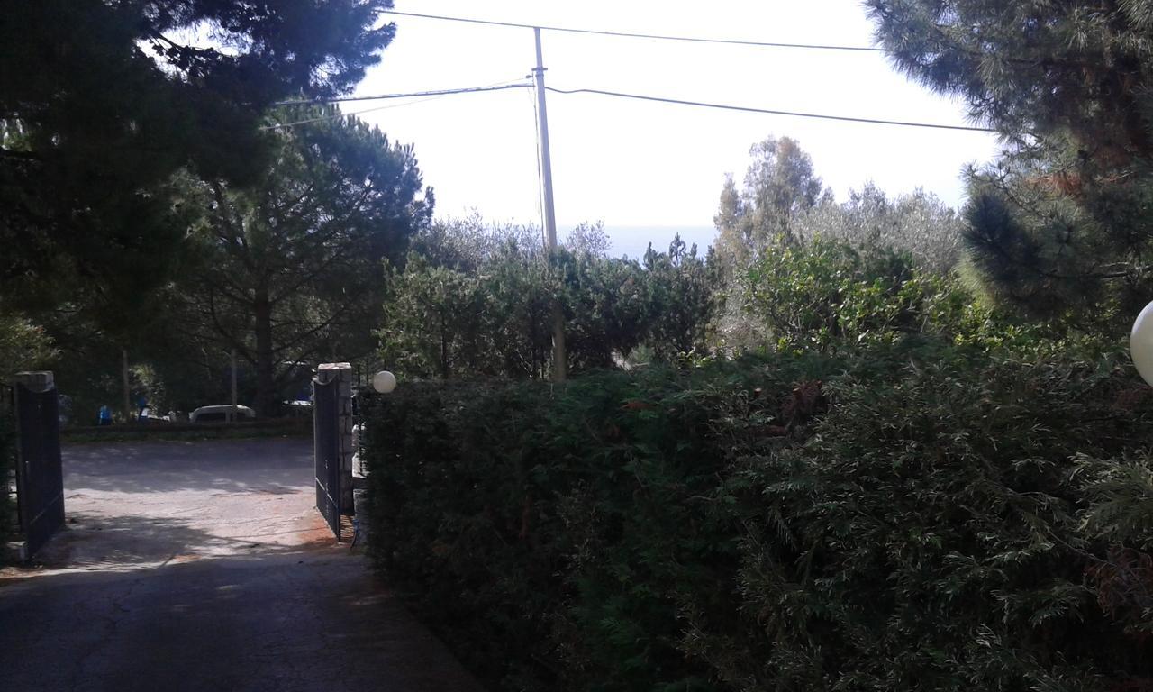 卡梅罗塔的码头Borgo Marinaro住宿加早餐旅馆 外观 照片