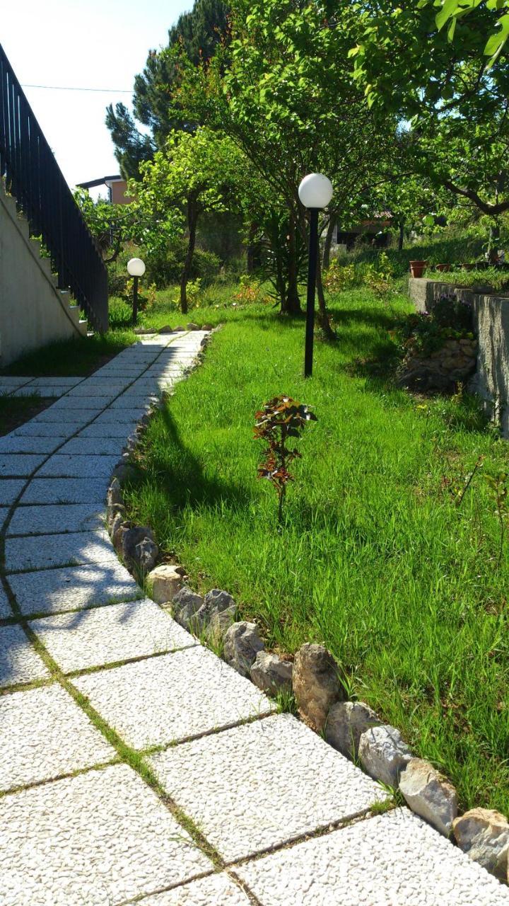 卡梅罗塔的码头Borgo Marinaro住宿加早餐旅馆 外观 照片